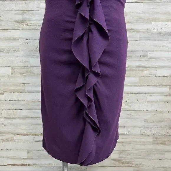 Elie Tahari Ruffle Wool Blend Sheath Dress Size 8 Purple Sleeveless Zip Front - Picture 3 of 14